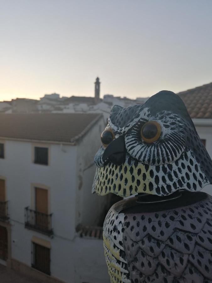 Hospedium Dlj Hostal Tematico Desde La Juderia Arjona エクステリア 写真